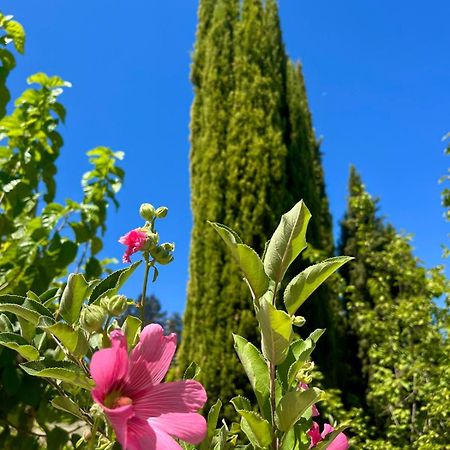 Demelida Villa In Tsada, Paphos Tsadha Екстериор снимка