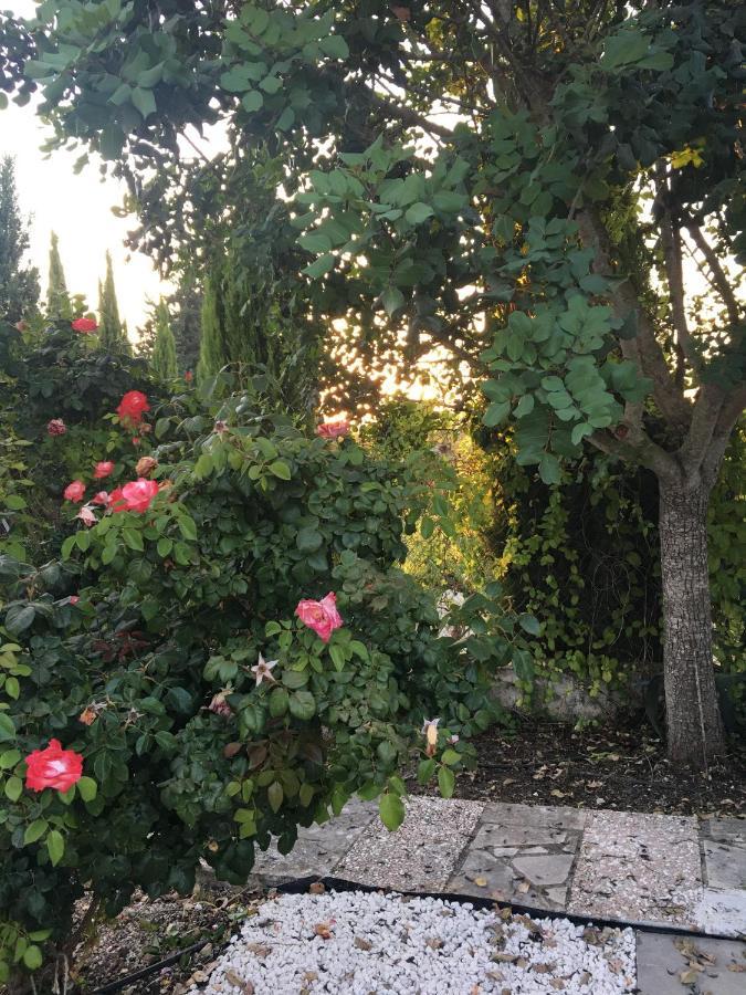 Demelida Villa In Tsada, Paphos Tsadha Екстериор снимка